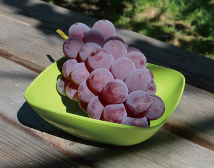 サニールージュ