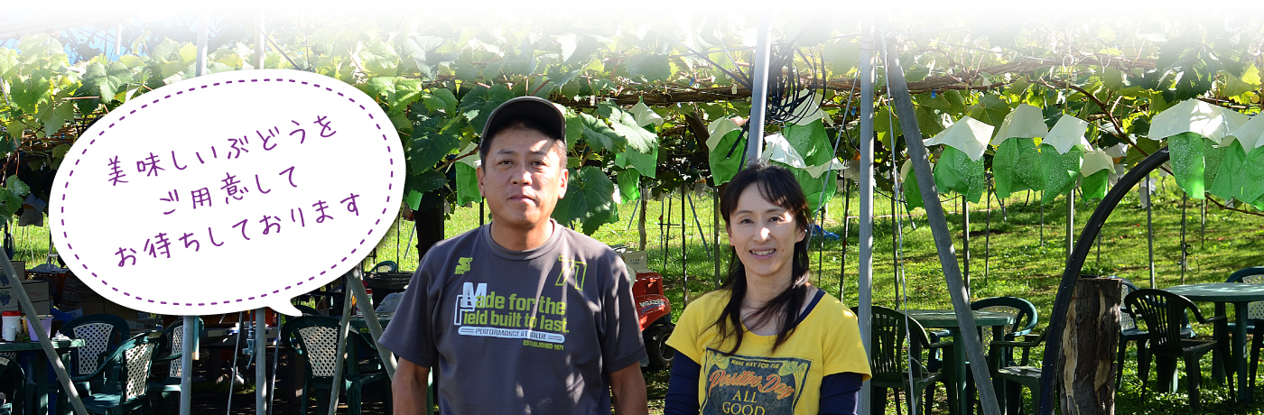 美味しいぶどうをご用意してお待ちしております！