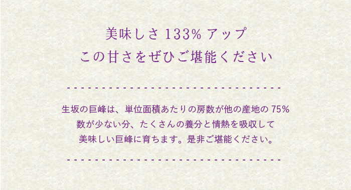 生坂の巨峰は、単位面積あたりの房数が他の産地の75%数が少ない分、たくさんの養分と情熱を吸収して美味しい巨峰に育ちます。是非ご堪能ください。